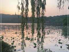 -湖畔居茶楼(湖滨店)