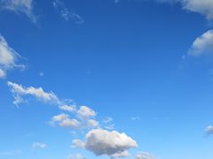 -深圳湾公园(南山区)