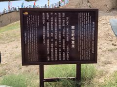 -水洞沟旅游区