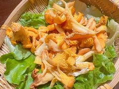 -滇野云南野生菌餐厅(陕西南路店)