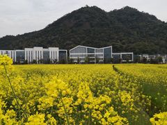 -湘湖金融镇