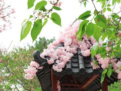 -宝墨园景区
