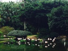 -九龙公园