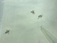 -方林富炒货店(武林路店)