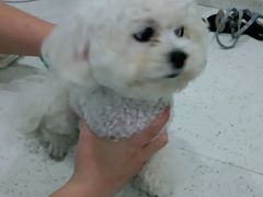 -佳雯宠物医院(金华南路分院)