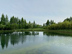 -苏州太湖国家湿地公园