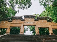 -灵谷景区