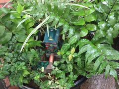 -三鹰之森吉卜力美术馆