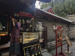 -宫事颐庭·老佛爷贵寿下午茶(颐和园店)