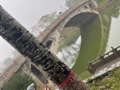 -赵州桥景区