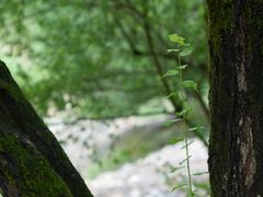 -福建天门山
