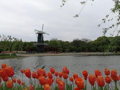 -上海鲜花港