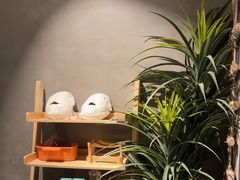 -施奈儿.洗头頭療.按摩SPA.采耳(上梅林店)