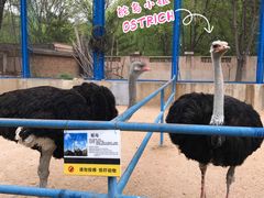 -森林公园(尖草坪区)