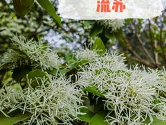 -北海公园