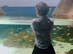 -江和美海洋公园