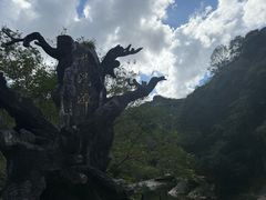 -龙湾潭国家森林公园