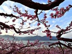 -河口景区