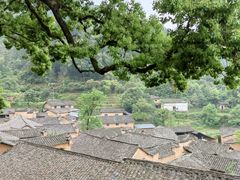 -杨家堂村
