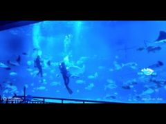 -烟台海昌鲸鲨海洋公园