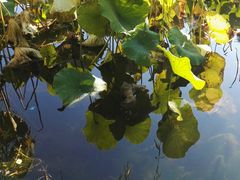 -香山公园-东宫门售票处