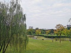 -眉山湿地公园(东坡区)