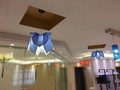 -本真坊美容美体沙龙