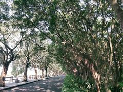 -大湾区中央湿地公园