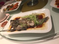 -凤城礼记鱼翅海鲜酒家(百老汇店)