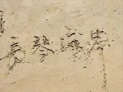 -长兴岛海滨公园