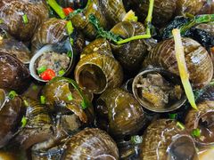 -遇龙河大樟树农家乐