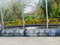 -亚龙湾热带天堂森林公园