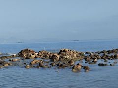 -珠海拱北口岸