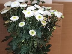 -SLOWOOD 咖啡餐食