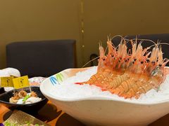 -月龍吟(朝龙汇店)