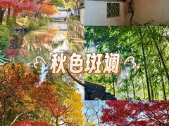 -秋霞圃
