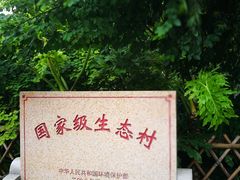-小洲村