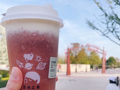 -喜茶(迪士尼小镇DP店)