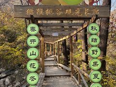 -大岭沟猕猴桃谷风景区
