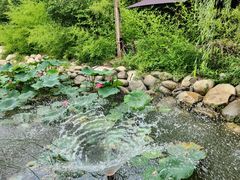 -茯茶镇