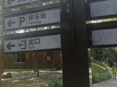 -海南霸王岭国家森林公园