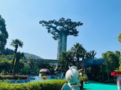 -苏州乐园森林水世界