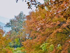 -广州市石门国家森林公园