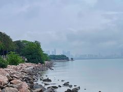 -深圳湾公园(南山区)
