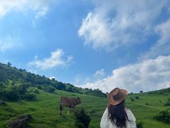-大姆山草场