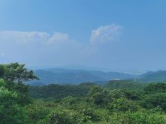 -大姆山草场