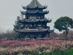 -上海海湾国家森林公园