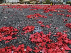 -碧桂园十里银滩