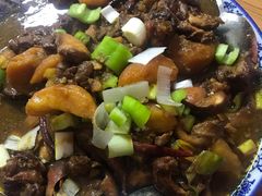 新疆大盘鸡-东财大盘鸡(黑石礁店)