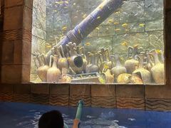 -新加坡水上探险乐园